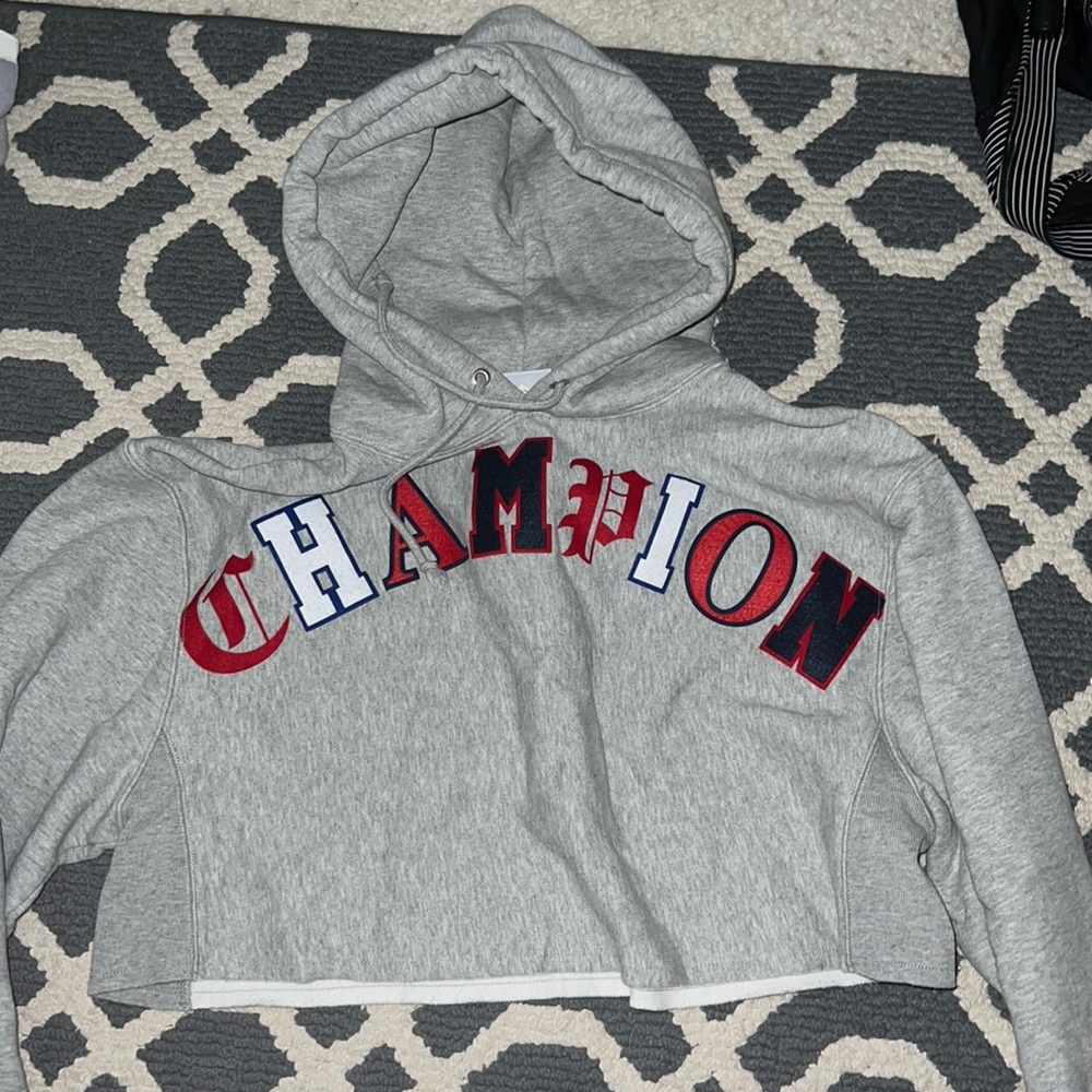 cropped champion hoodie